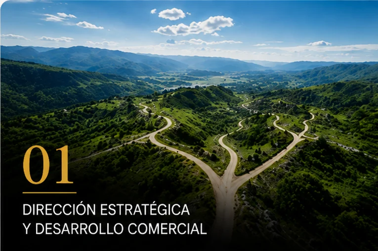 Dirección estratégica y desarrollo comercial
