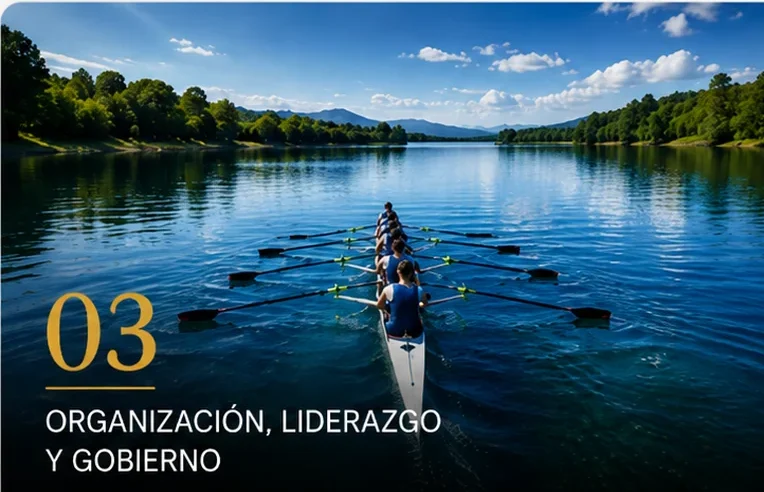 Organización, liderazgo y gobierno